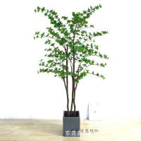 uploads/erp/collection/images/Home Garden/dgjiawang/XU0613098/img_b/XU0613098_img_b_4